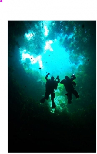 Visita guiada de buceo